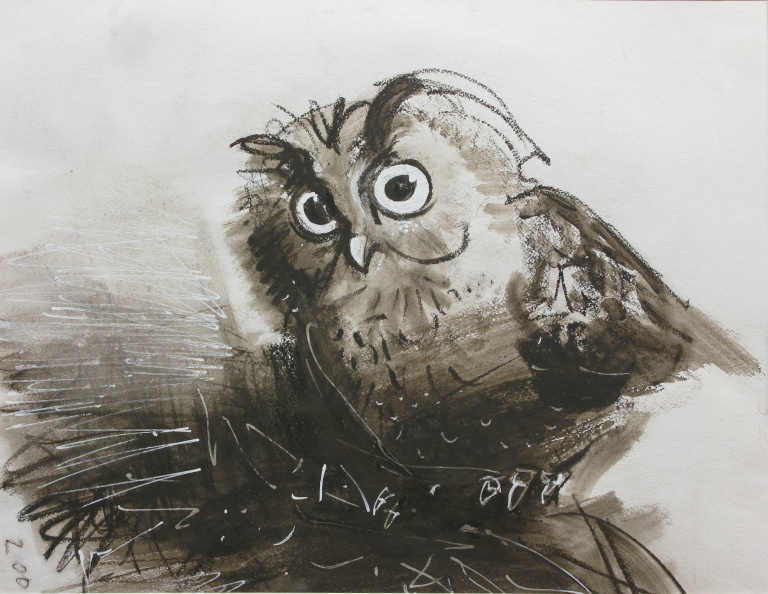 Owl, sanguine on paper, 46x60, 2001